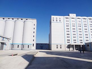 Solution de moulin à farine pour les bâtiments à structure en béton