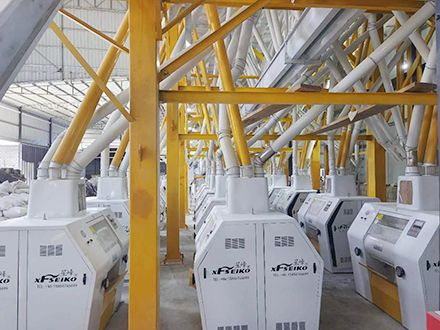 Usine de minoterie de blé à structure métallique de 260 tonnes par jour