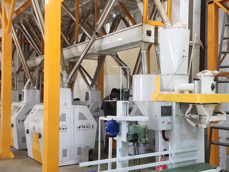 150-200TPD Maize Flour Mill Plant
