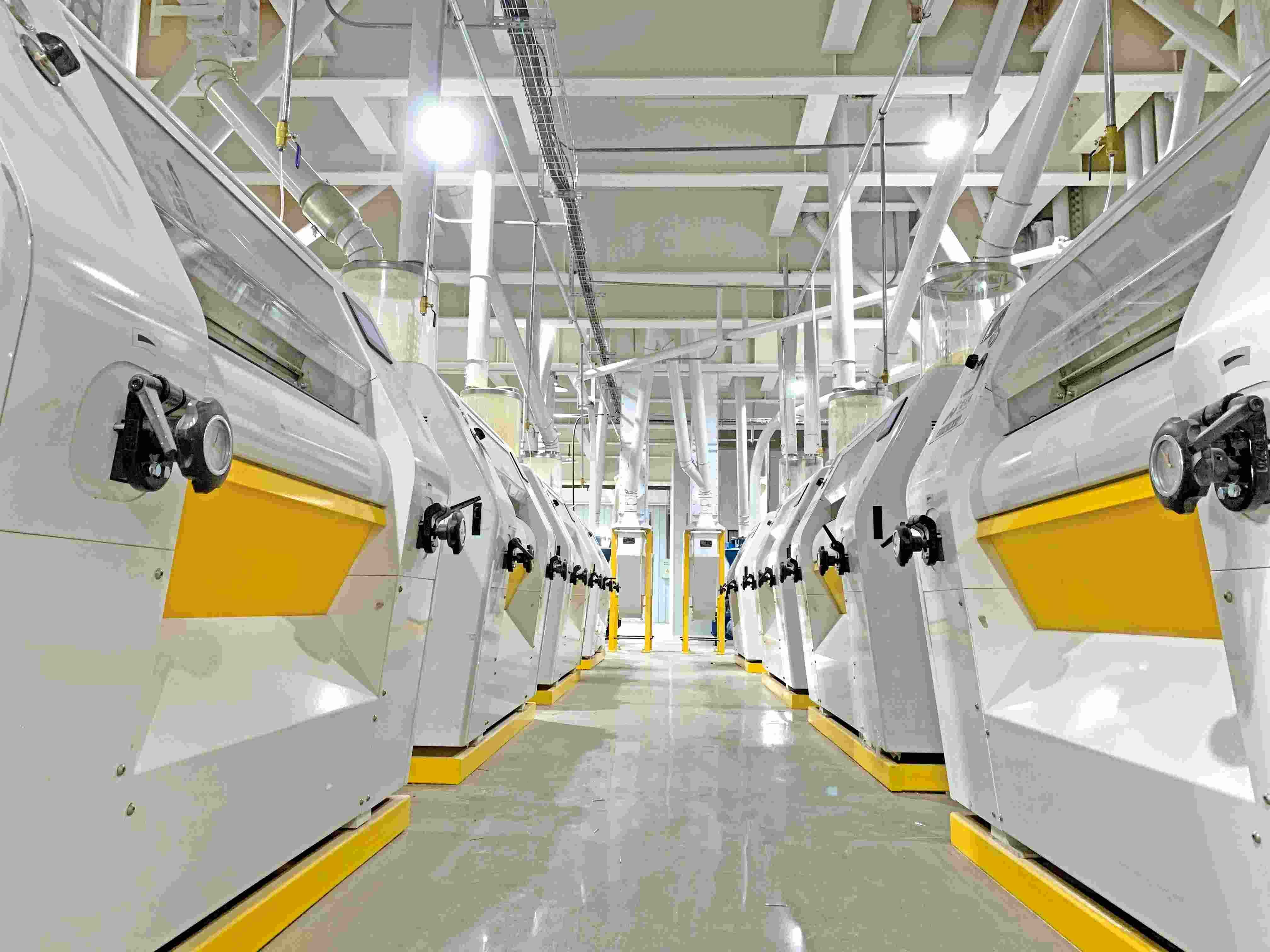 300TPD Maize Flour Mill Plant